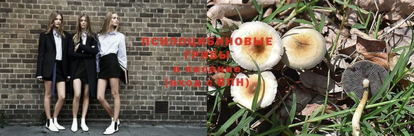 a pvp Арсеньев