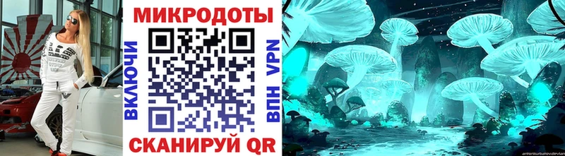 Псилоцибиновые грибы Cubensis Купить где Губкинский